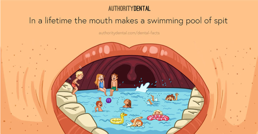 Cartoon showing a mouth as a swimming pool containing saliva.